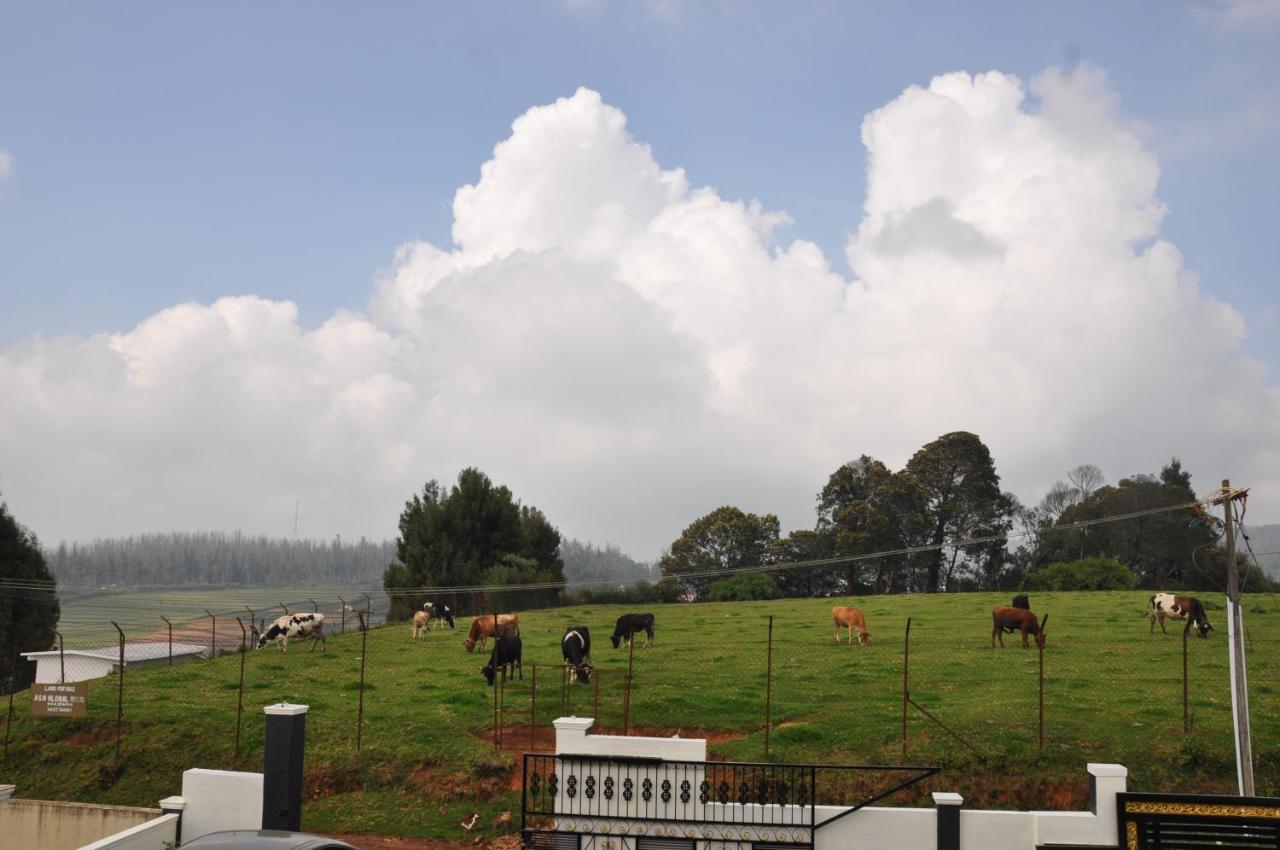 Teyt Castle Villa Ooty Dış mekan fotoğraf